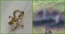 Poliția solicită repetat ajutorul cetățenilor pentru identificarea unei tinere arsă pe un câmp la Florești